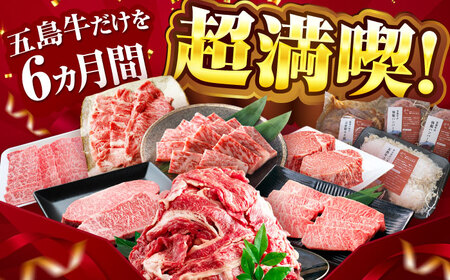 【6回定期便】大満足！五島牛 ファミリー特撰コース 五島市/五島市ふるさと納税[PZX029]