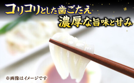 【全2回定期便】旬のイカ刺身1kg前後《壱岐市》【馬渡水産】イカ いか 烏賊 剣先 アオリ あおり スルメ するめ 刺身 刺し身 お刺身 海鮮 魚貝 冷凍配送 産地直送[JAQ030]