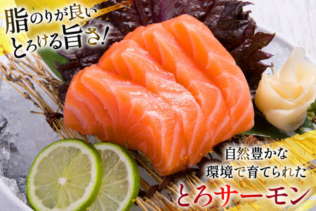 定期便 訳あり とろサーモン 刺身 3パック計600g×12回 総計7.2kg 毎月 12回 定期 [たみこの海パック 宮城県 南三陸町 m304amh560074]