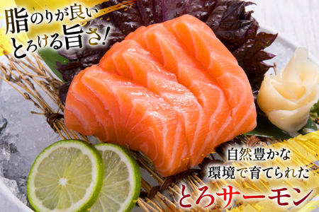 訳あり サーモン 刺身 とろサーモン 約200g×3パック 計600g [たみこの海パック 宮城県 南三陸町 m304amh560071]