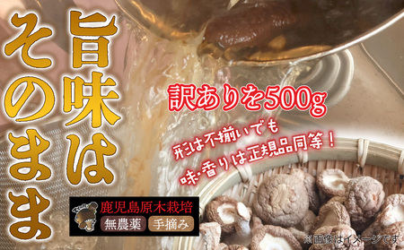 【 訳あり 】  鹿児島 原木 乾燥 しいたけ お得 セット 約500g K205-004