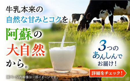 【全12回定期便】 大阿蘇牛乳 250ml (24本入り) 牛乳[AYCB152]