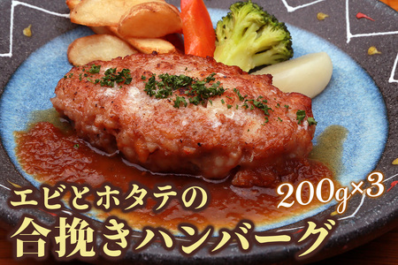 日光えんや「エビとホタテの合挽きハンバーグ」＆「えんやステーキソース」セット [0792]