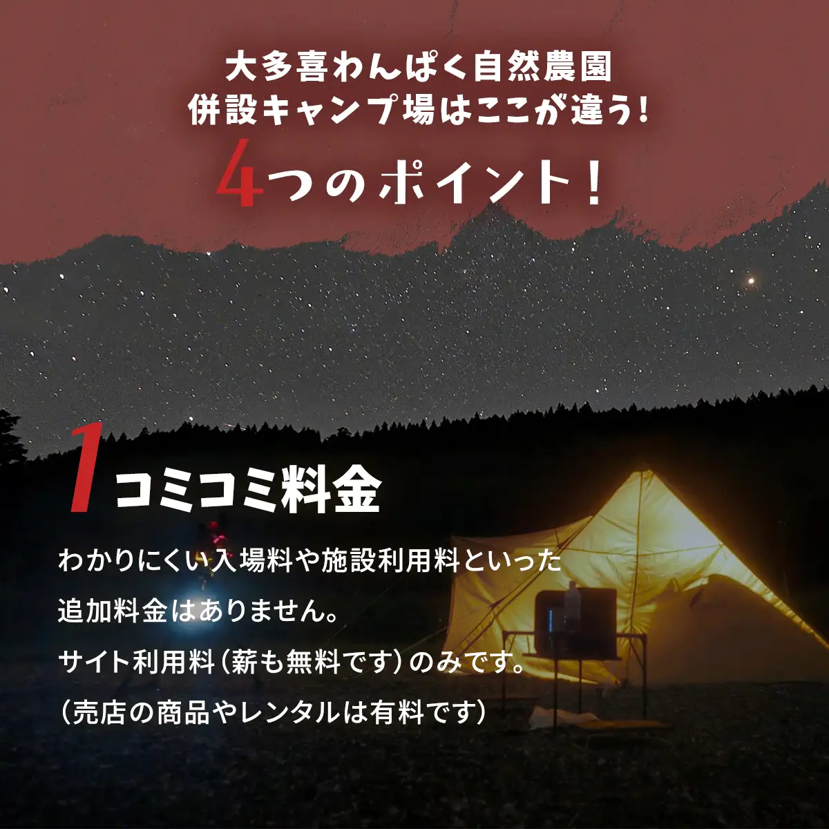 大多喜わんぱく自然農園併設キャンプ場1000円分利用券 W004505
