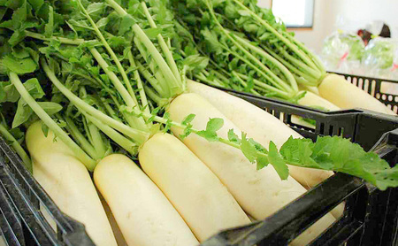 おいしかぁ～便 詰め合わせセット ファミリーセット 家族用 野菜 やさい 米 新鮮 新鮮野菜 家庭用 新鮮 福岡県 大刀洗町 
