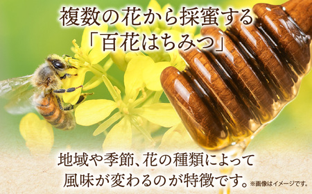 国産百花はちみつ300g×2本 はちみつ 蜂蜜 国産 百花はちみつ 西澤養蜂場