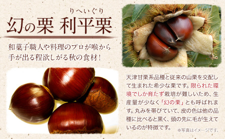 【先行予約】利平栗  約1kg(3L-2Lサイズ)《2026年9月上旬-10月上旬出荷》