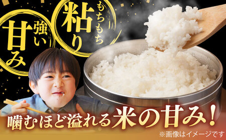 【令和7年産】雲南市産米 コシヒカリ 白米 5kg（5kg×1袋）精米 [AIDB105] 