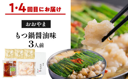 【隔月6回定期便】本場博多の味 水炊き/もつ鍋食べ比べ定期便 [BGAD082]
