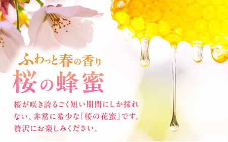 早春みつ 2本（500g×2） / はちみつ スピード発送[AFAI046]