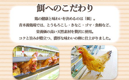 日本を代表する地鶏　名古屋コーチン卵　60個入