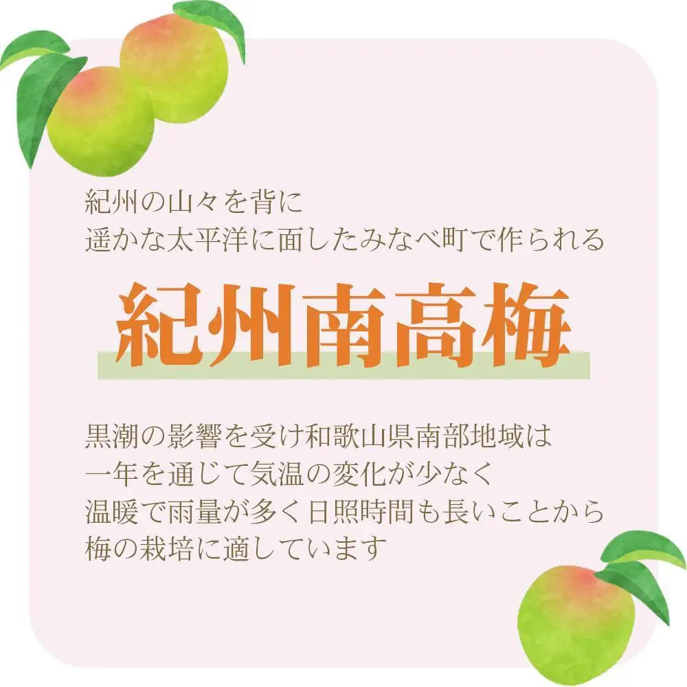 ［訳あり］ご家庭用 紀州南高梅 はちみつ漬つぶれ梅 600g×1個 わけあり 和歌山県産