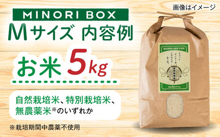 【お中元対象】糸島産 肉 米 野菜 果物 厳選詰め合わせ MINORI BOX Mサイズ 糸島市 / emma.Inc / 米 肉 野菜 果物 詰め合わせ[AOP011]