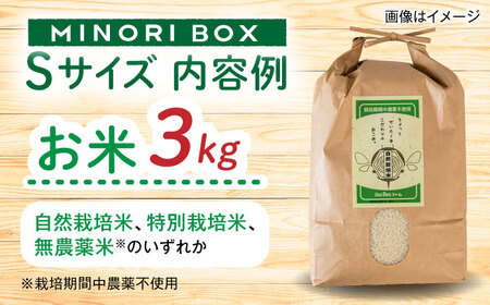 【お中元対象】糸島産 魚 米 野菜 果物 厳選詰め合わせ MINORI BOX Sサイズ 糸島市 / emma.Inc / 米 魚 野菜 詰め合わせ[AOP019]