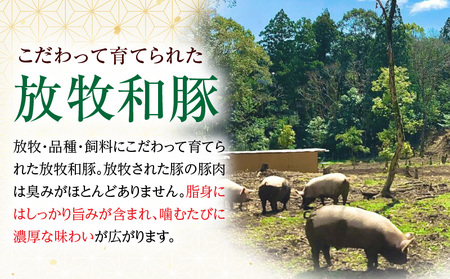 豚肉 スライス3種セット 豚肉[ロース バラ モモ 3種 900g 放牧和豚 しゃぶしゃぶ]
