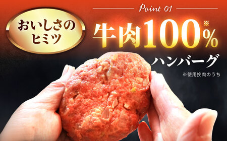 100％佐賀牛！佐賀牛デミハンバーグ 150g×10個 吉野ヶ里町/株式会社博多漁師の里[FDV001]