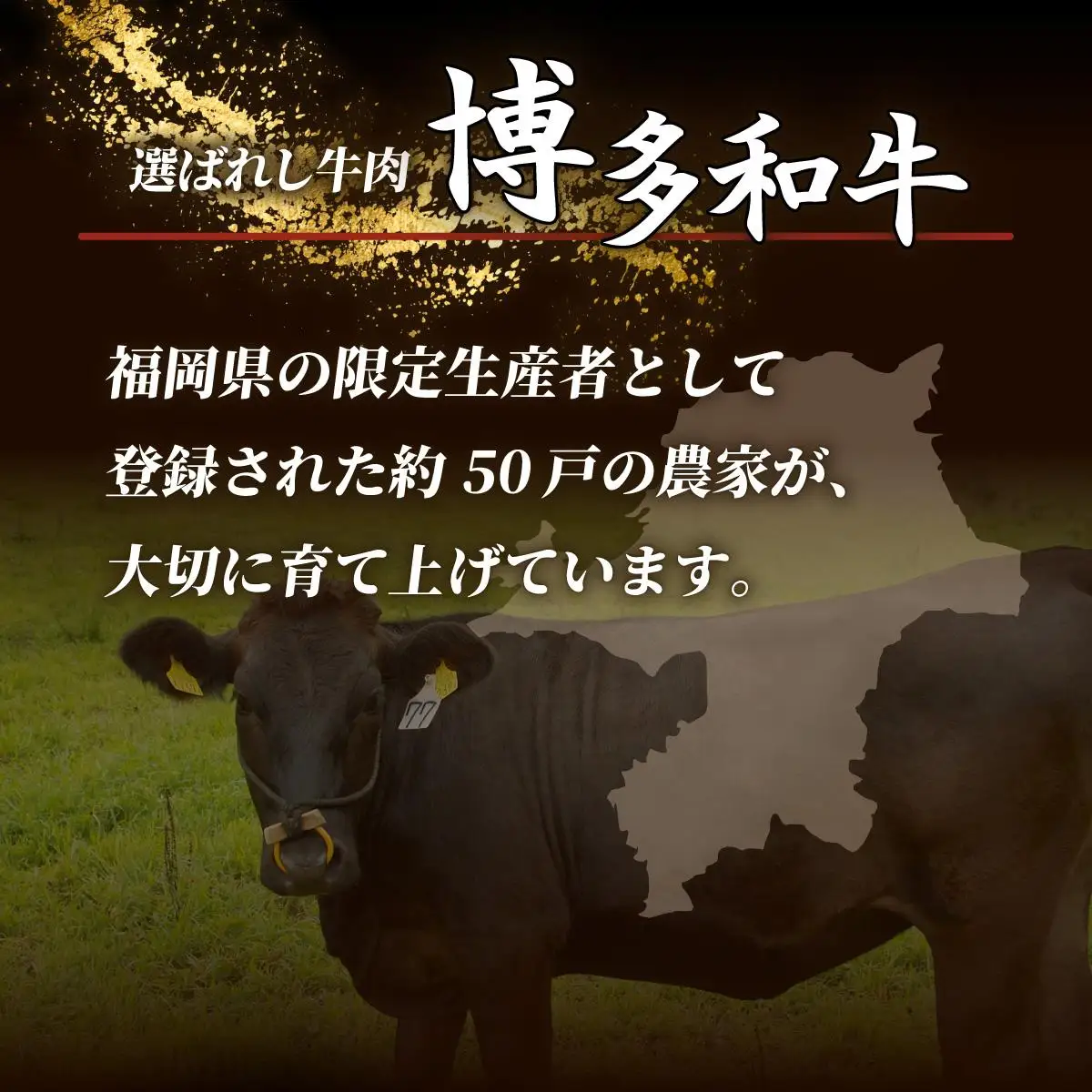 博多和牛切落し500g×2パック (計1kg)
