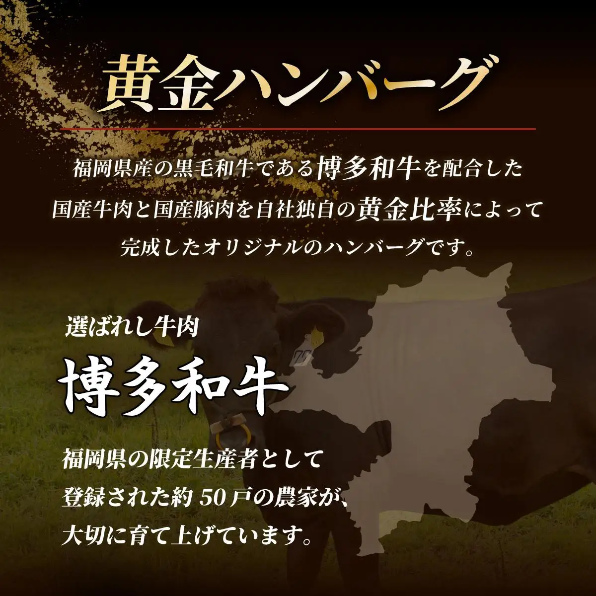 博多和牛入り黄金ハンバーグ