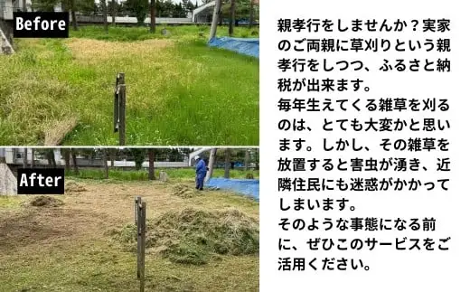 草刈り＆見守り訪問サービス 1回 五泉市内限定 | 新潟県 草刈り 見守り