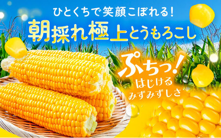 【先行予約】北海道 朝もぎとうもろこし 10本【8月上旬以降発送】《足寄町》とうもろこし [BEAA003]