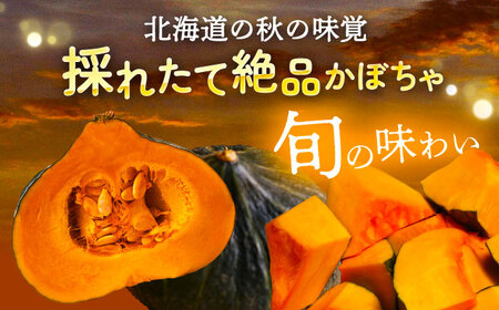 【先行予約】北海道産 じゃがいも＆かぼちゃ 計10kg [BEAA009]