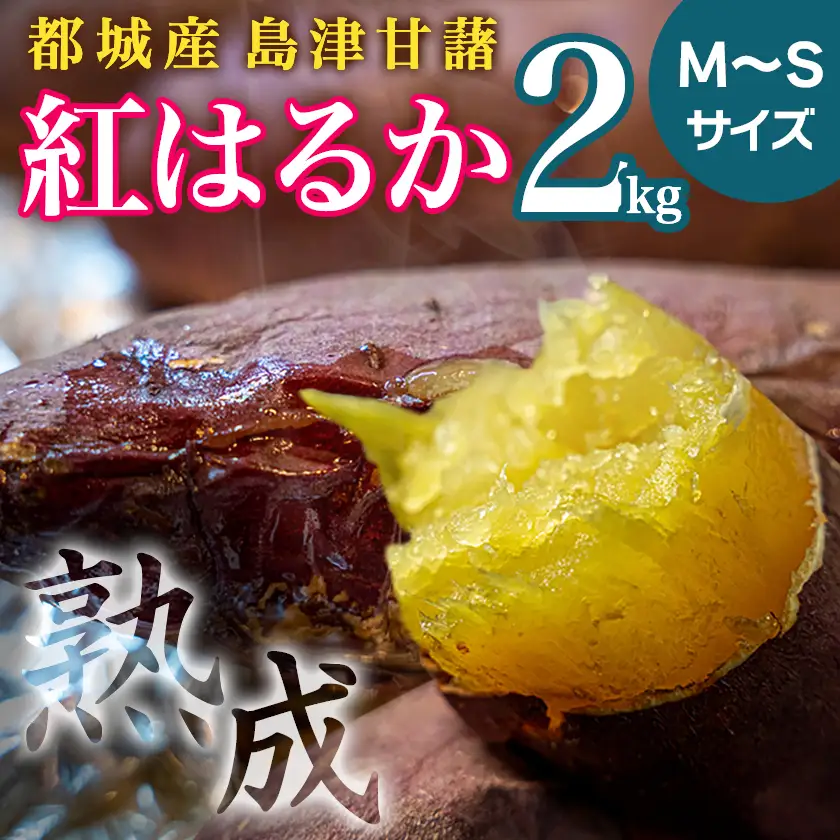 島津甘藷　熟成紅はるか 2kg(M～S)〔LB-A7-001-2kg〕_(都城市) さつまいも 幻のサツマイモ 幻の品種 紅はるか 2kg M～S べにはるか 生芋 ベジエイト 熟成 芋 定番 焼き芋 アウトドア
