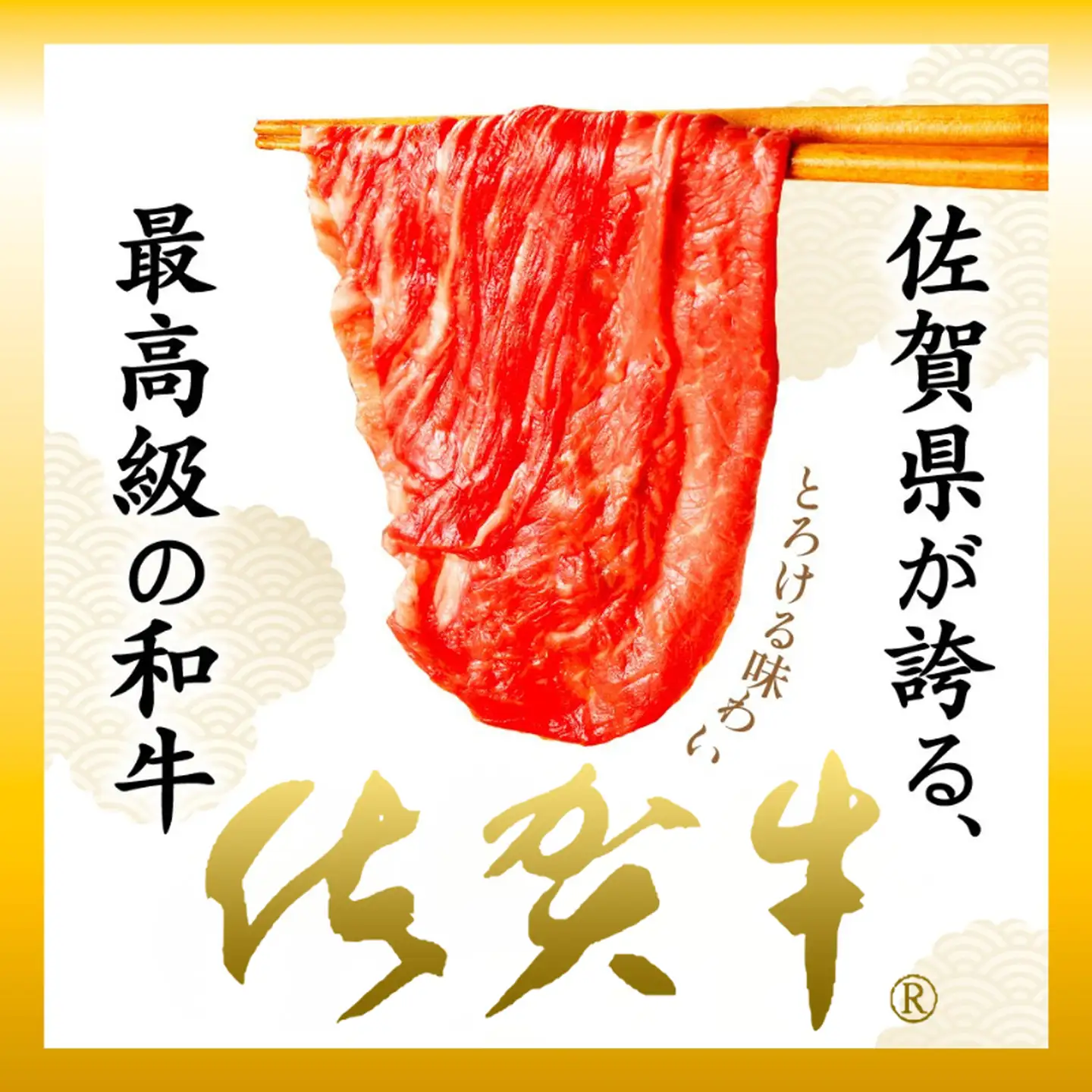 佐賀牛 モモスライス 600g：B220-039