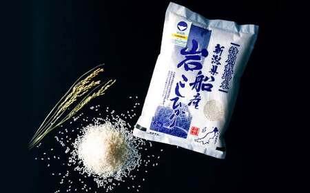 【令和7年産米】特別栽培米 新潟県村上市岩船産 コシヒカリ 10kg（5kg×2袋）1029004