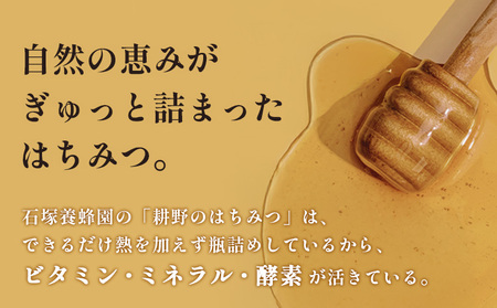 耕野のはちみつ　apis Honey Stick 　7g×6本【21114】
