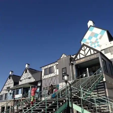 ホテル奥中山高原　特別優待券《奥中山まるごとプラン(リフト1日券2枚、ランチ券2枚、温泉入浴券2枚)【1645446】