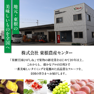 【急速冷凍】東根市産カット済み黄桃 500g×2袋 冷凍 桃 黄桃