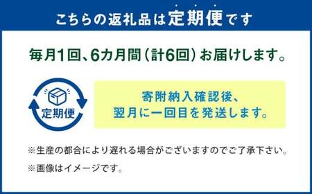 【6ヶ月定期便】 越田の干物 さば 6枚×6回  合計36枚 干物 鯖 サバ 魚 お魚 さかな 魚介類