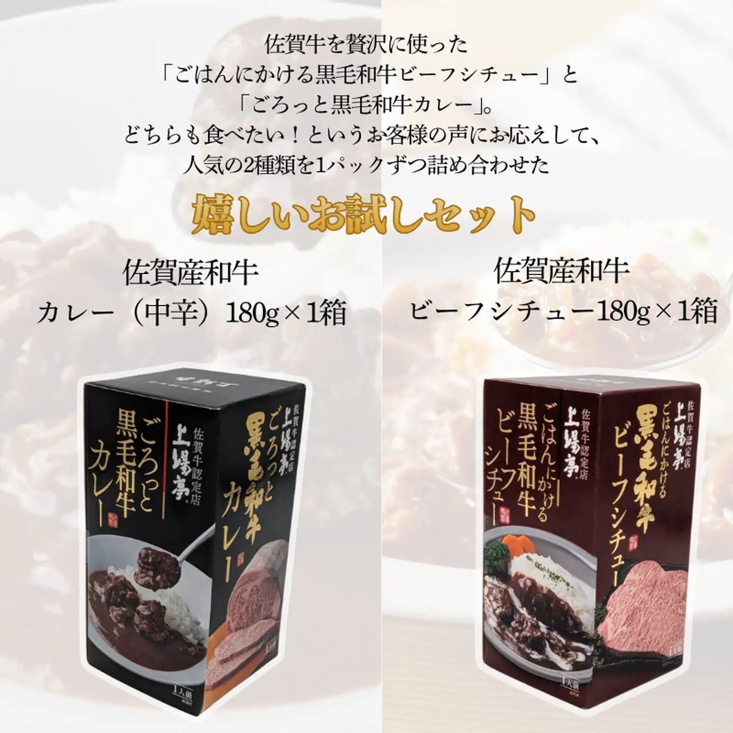 ごろっとカレー・ビーフシチューセット 佐賀牛 カレー ビーフシチュー レトルト 湯煎 レンジ調理 簡単 ：A080-012