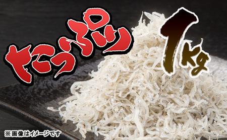 義丸のだんじりちりめん 1kg【岸和田ブランド認定品】