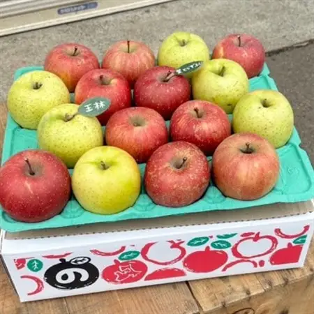 (2026年産予約)【青森市産　完熟葉とらずふじ・王林】 約5kg 16～24玉(家庭用)【配送不可地域：離島・沖縄県】【1181953】