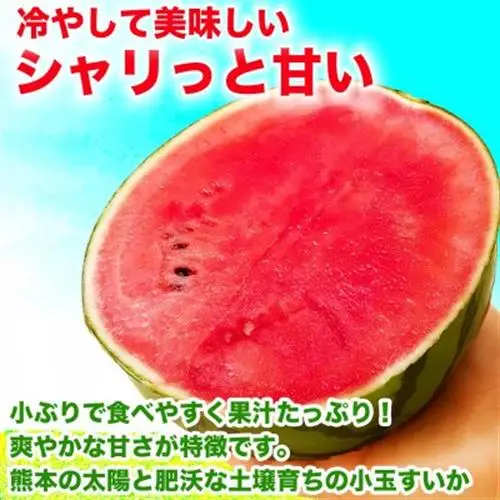 小玉すいか 3～5玉入り M～3Lサイズ 約4.5kg以上(益城町)【1684314】