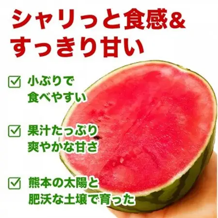 小玉すいか 1玉入り 3Lサイズ 約1.5kg以上(益城町)【1684315】