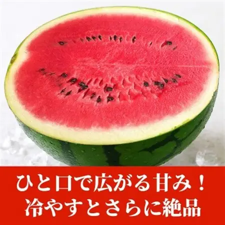 大玉すいか 1玉入り L以上 約5kg以上(益城町)【1684323】