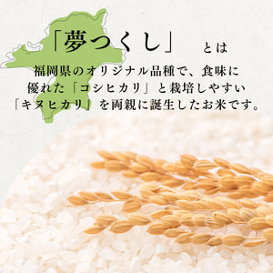 定期便 12回 特別栽培米 R7年度産 福岡県 小郡産 夢つくし 5kg 米 お米 12ヶ月