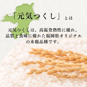 定期便 12回 特別栽培米 R7年度産 福岡県 小郡産 元気つくし 5kg 米 お米 12ヶ月