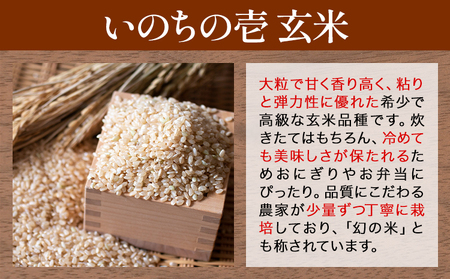 玄米 令和7年産 いのちの壱 1kg 結城市産 けいいちろう商店 《30日以内に出荷予定(土日祝除く）》茨城県 結城市 玄米 米 こめ コメ ご飯 大粒 お弁当 おにぎり