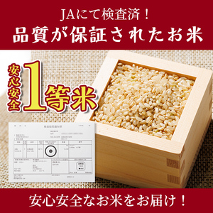 【D7097】上士別清流米 ななつぼし 玄米 (15kg) 米 お米 玄米 北海道米 ごはん ななつぼし 北海道産 士別産 15kg 【合同会社T&M】