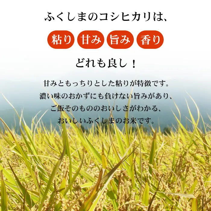 No.3246 【令和7年産】 菅野房吉商店 福島市産コシヒカリ 2kg