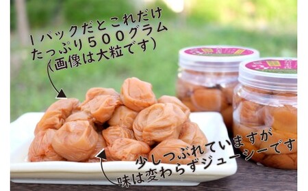訳あり 無添加 梅干し 紀州梅香の減塩3%つぶれ梅 約1kg(500g x 2) 中~大粒 はねだし梅 紀州南高梅 産直) 3-G