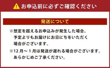 驚きのジャンボサイズ 背ワタ無し むきエビ 3kg 【入金確認後7営業日以内に発送】 剥き海老 むきえび むき海老 むき身 海鮮 海産物 魚介類 甲殻類 超特大サイズ 海の幸 大阪府 阪南市