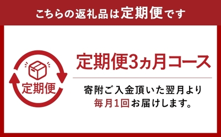 【3ヶ月定期便】『倉敷うどん ぶっかけ』お土産セット(半生) 6人前×3回 うどん 麺類 麺 半生 半生麺 ぶっかけうどん タレ つゆ 岡山県 倉敷市