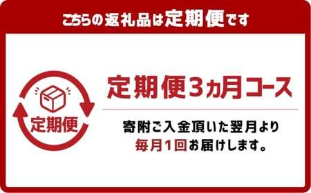 【3ヶ月定期便】ぶっかけうどん 凍らし麺 12人前×3回 うどん 麺類 麺 冷凍 ぶっかけうどん タレ つゆ 岡山県 倉敷市