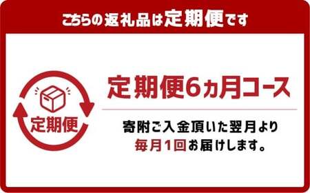 【6ヶ月定期便】ぶっかけうどん 凍らし麺 12人前×6回 うどん 麺類 麺 冷凍 ぶっかけうどん タレ つゆ 岡山県 倉敷市