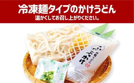 かけうどん だし凍らし麺 8人前 うどん 麺類 麺 冷凍 ぶっかけうどん タレ つゆ 岡山県 倉敷市