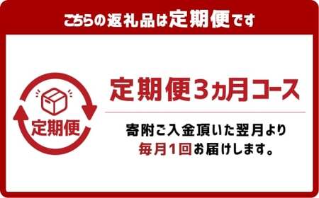 【3ヶ月定期便】かけうどん だし凍らし麺 8人前×3回 うどん 麺類 麺 冷凍 ぶっかけうどん タレ つゆ 岡山県 倉敷市